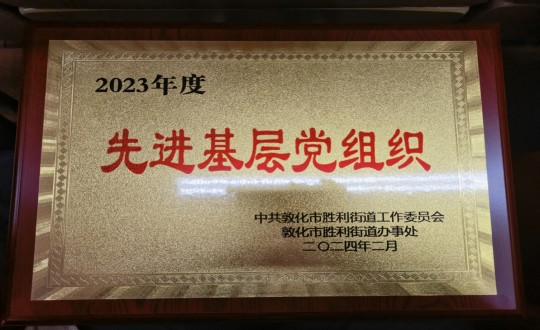 10.物业总公司敦化项目党支部被授予“2023年度先进基层党组织”荣誉称号_副本.jpg